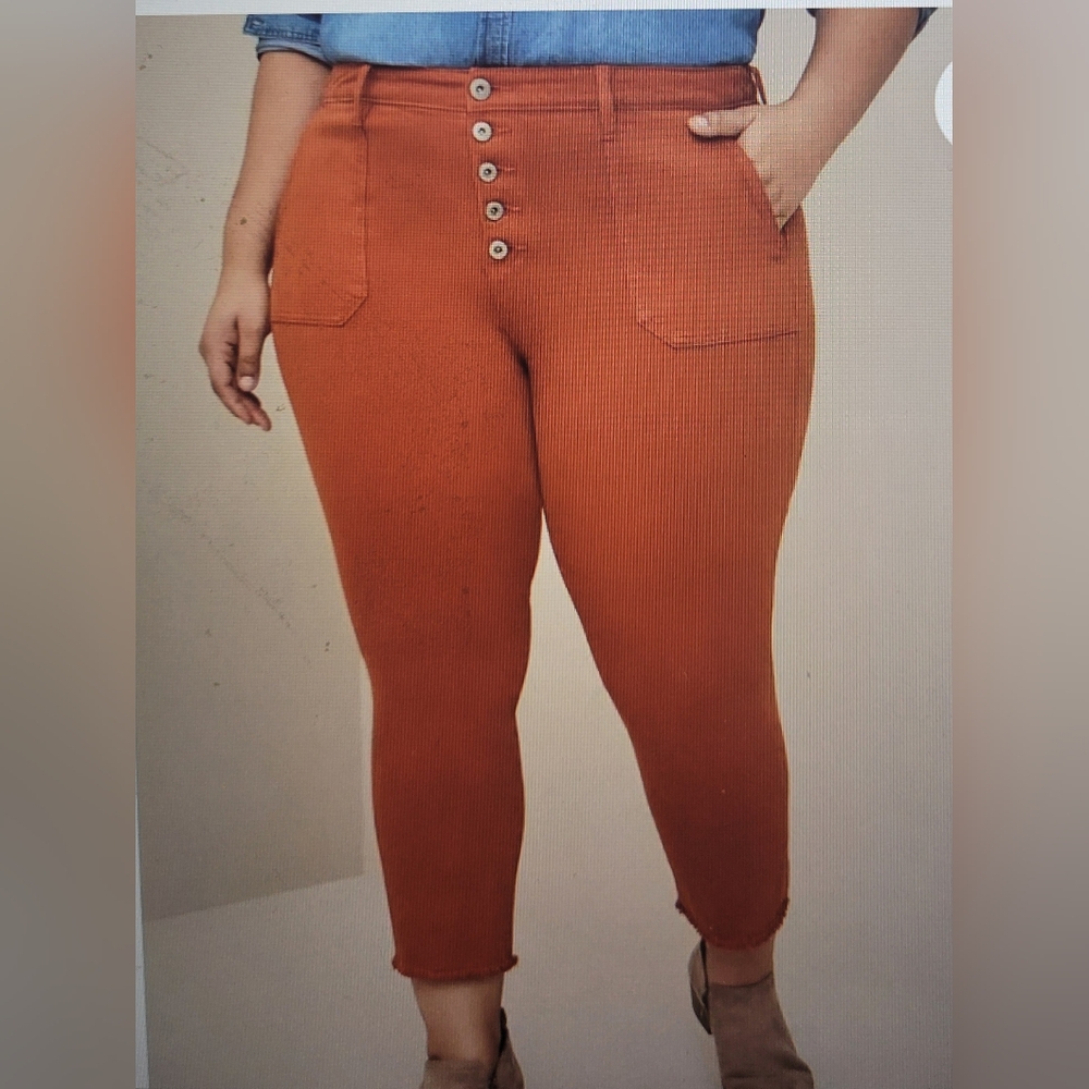 NEW TORRID Never Worn PLUS size Jeans